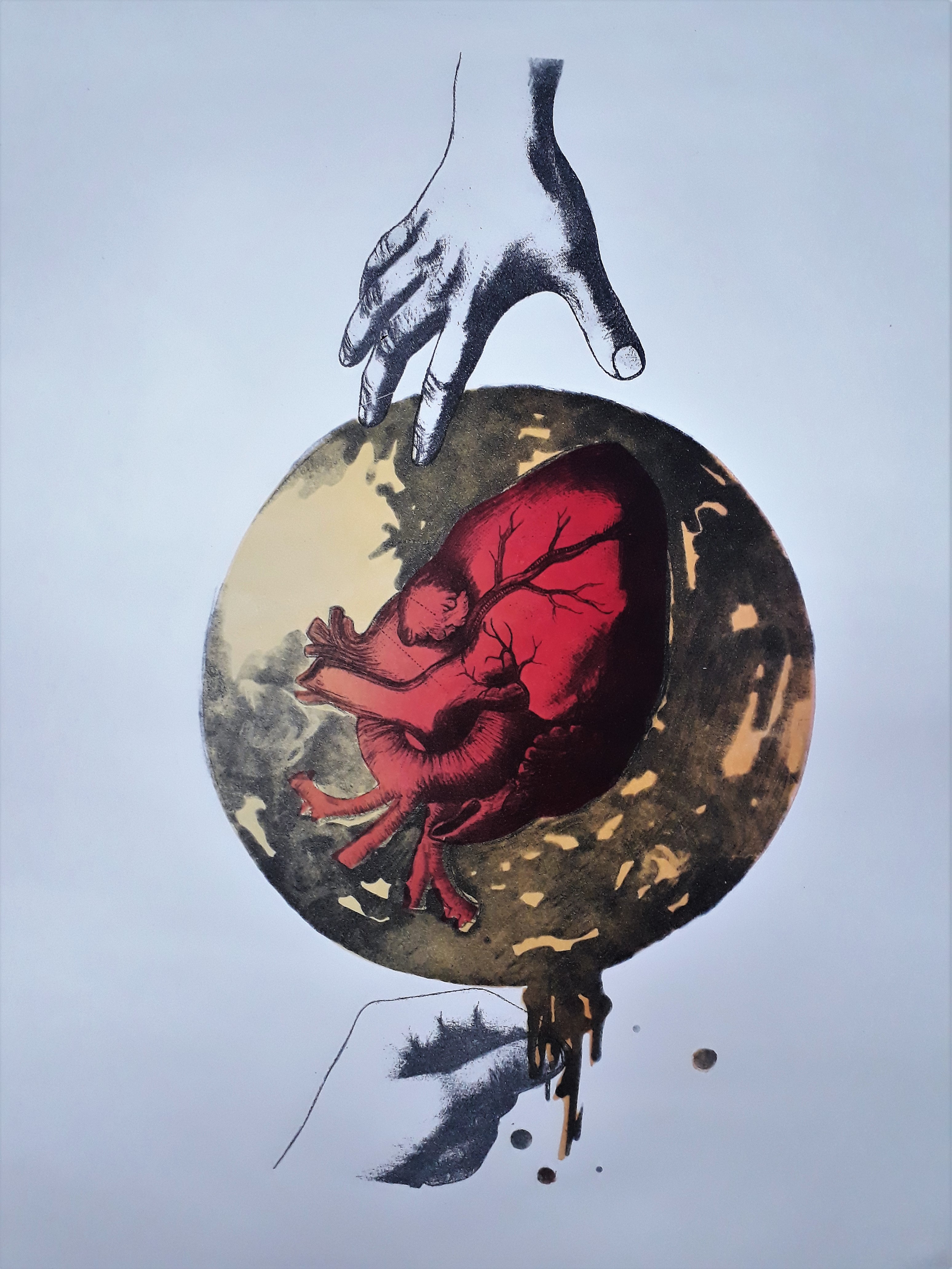 Nuestros Ancestros XVIII