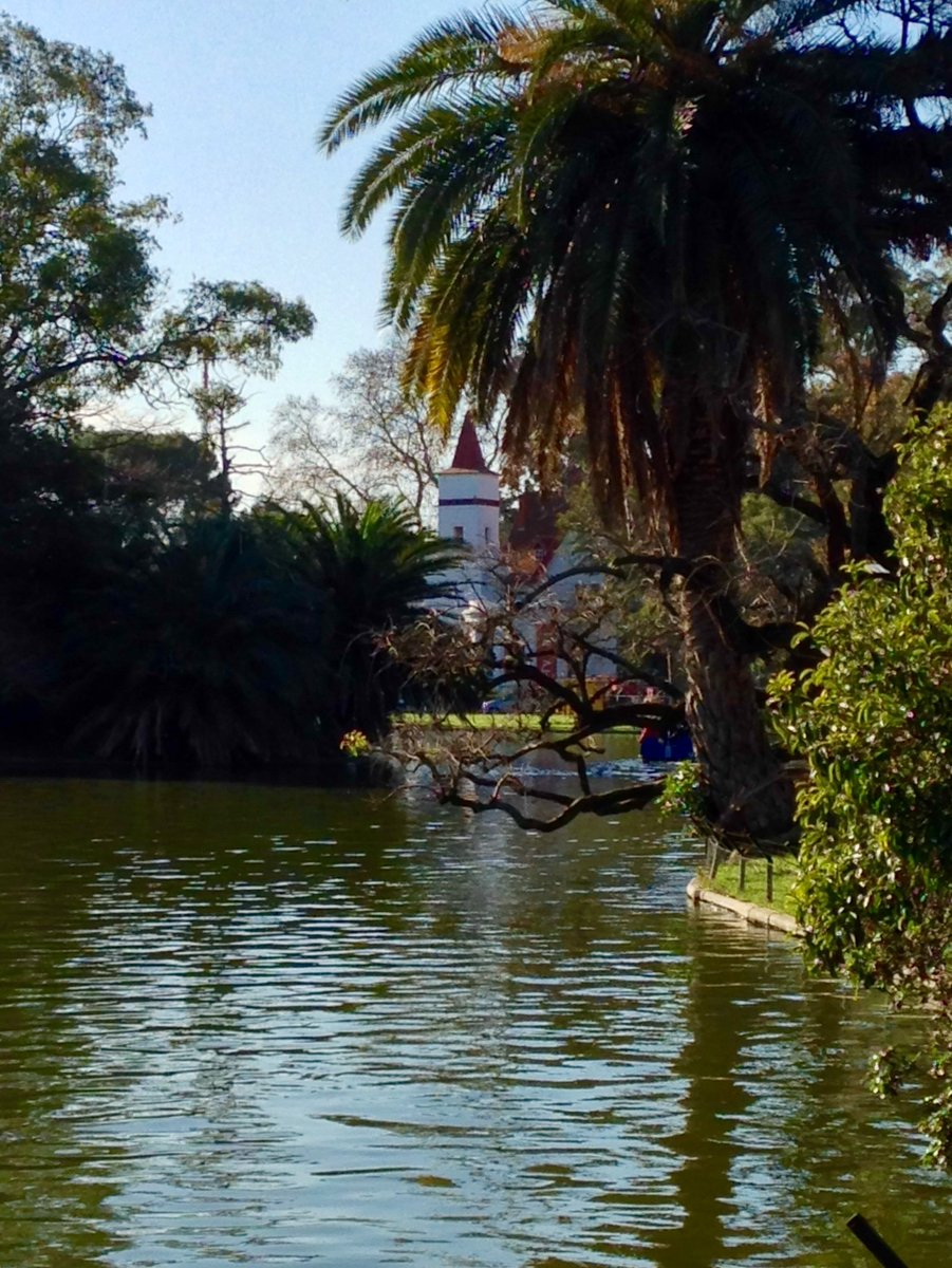 Cronograma durante el G20