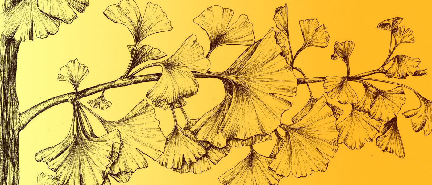 Actividad para abuelos y nietos - Lunes 04 de febrero a las 10:30 h  