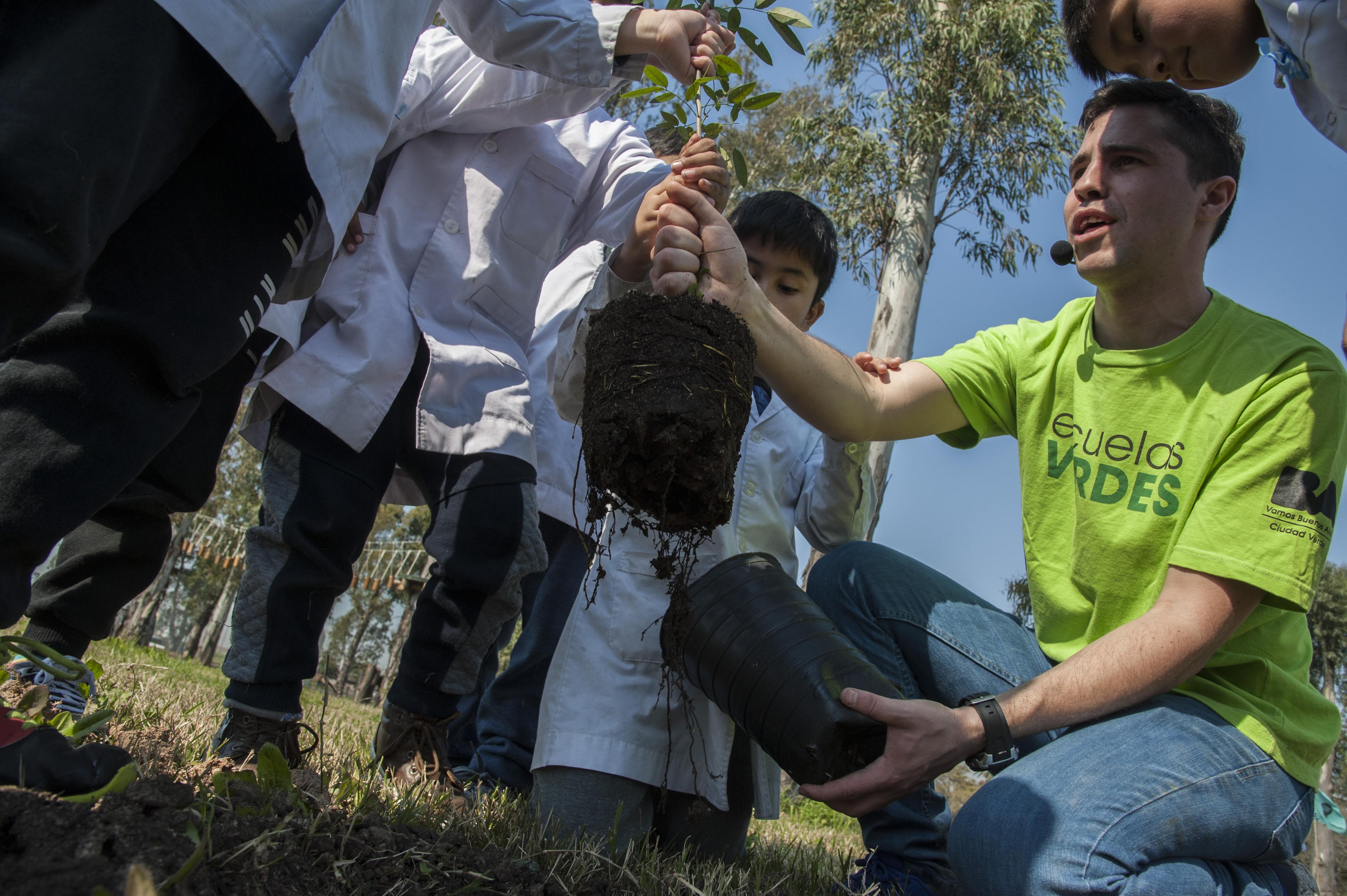 Plantar un árbol es plantar futuro