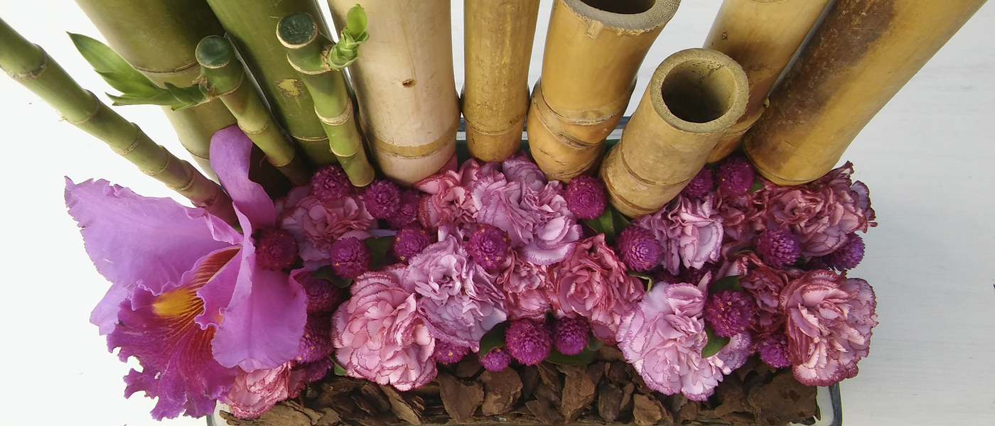 Taller de diseño floral para adultos - comienza en febrero