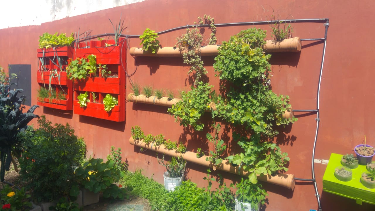 Soberanía alimentaria en las escuelas de la Ciudad