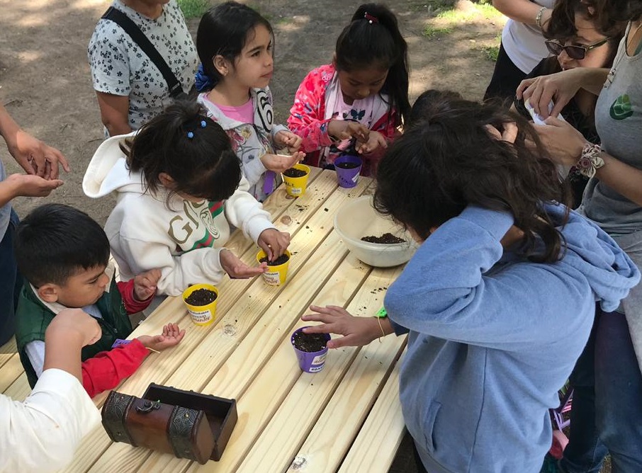 Verano saludable para los más chicos
