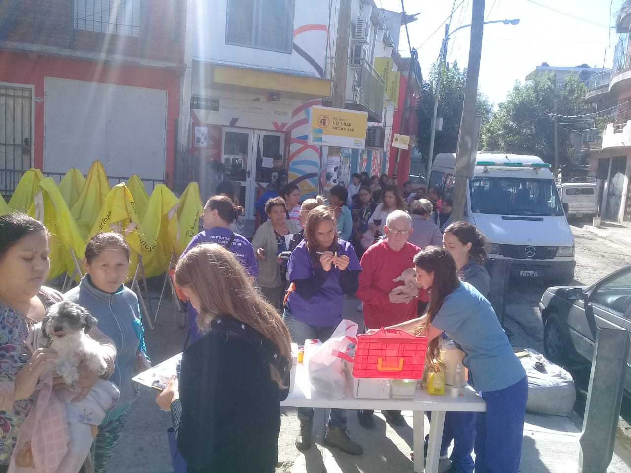 Vacunación antirrábica gratuita para perros y gatos durante febrero