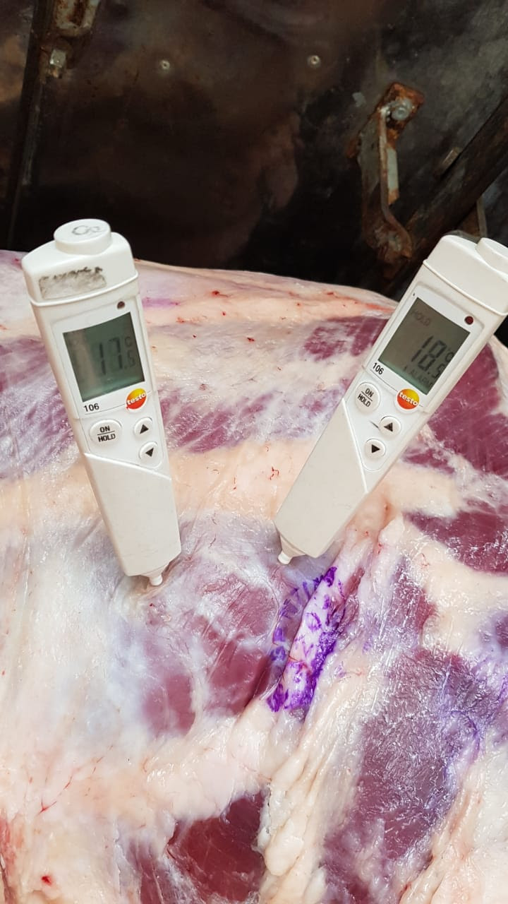 Decomisan 1600 kilos de Carne