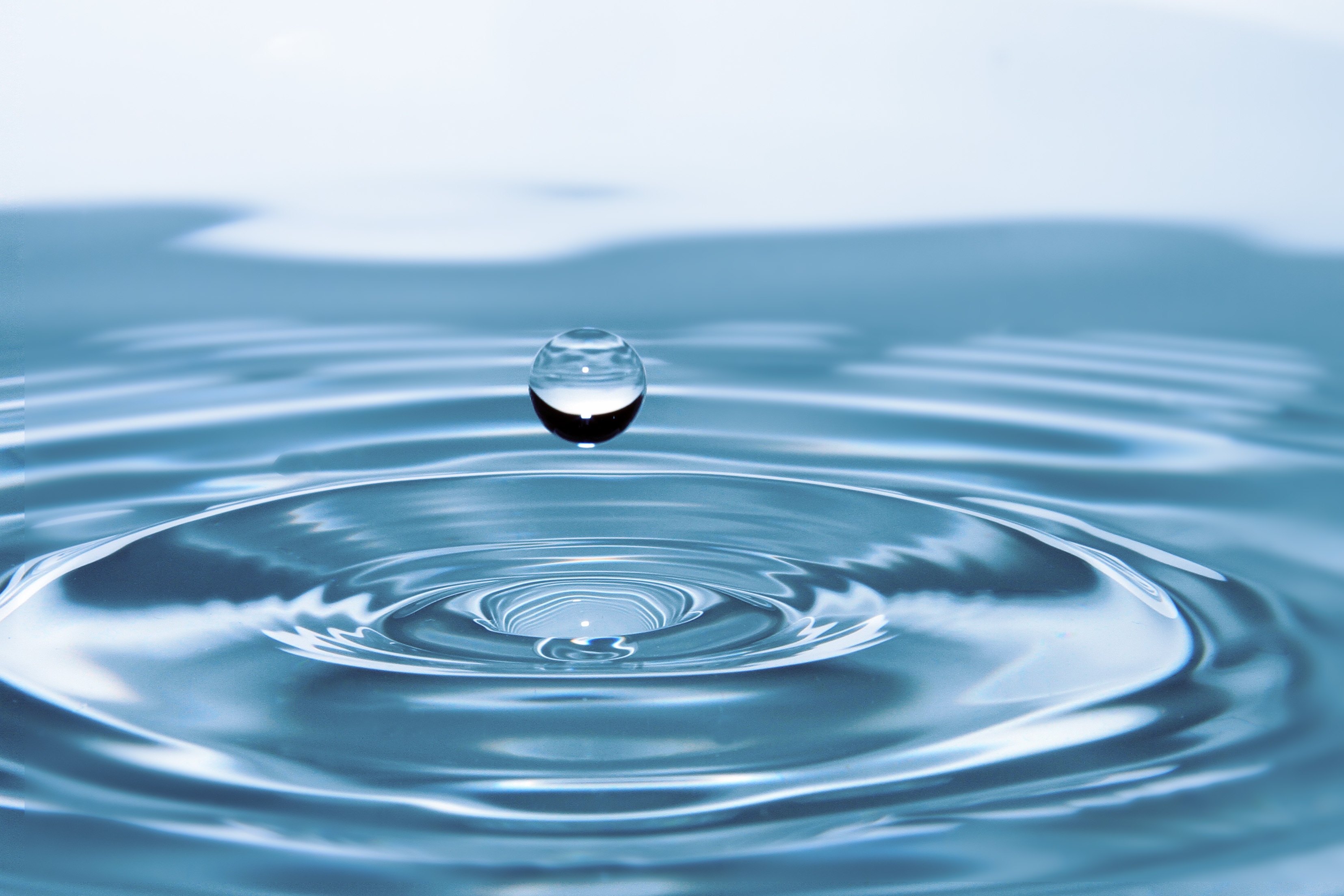 El agua, fuente de vida