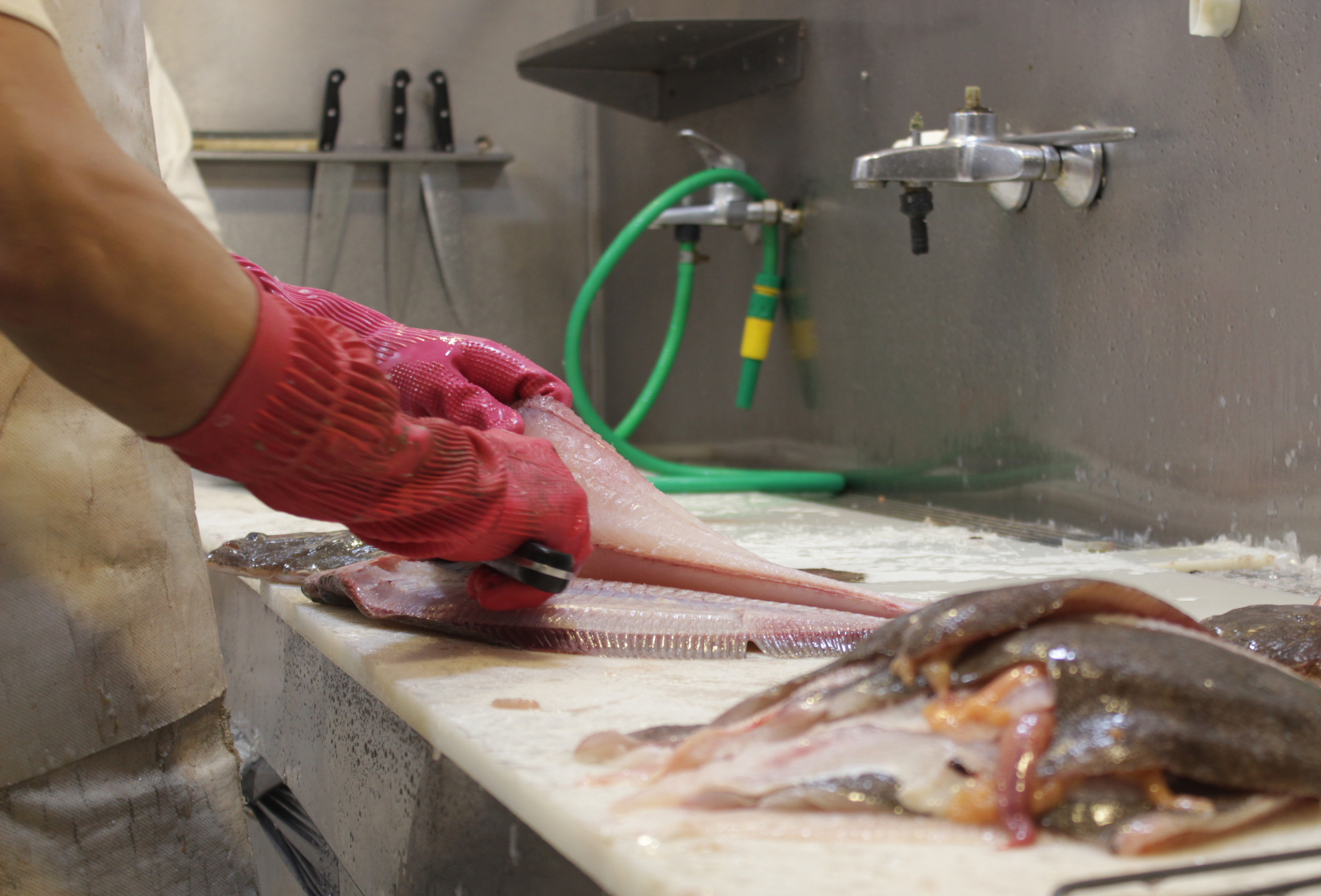 Pescado en Semana Santa