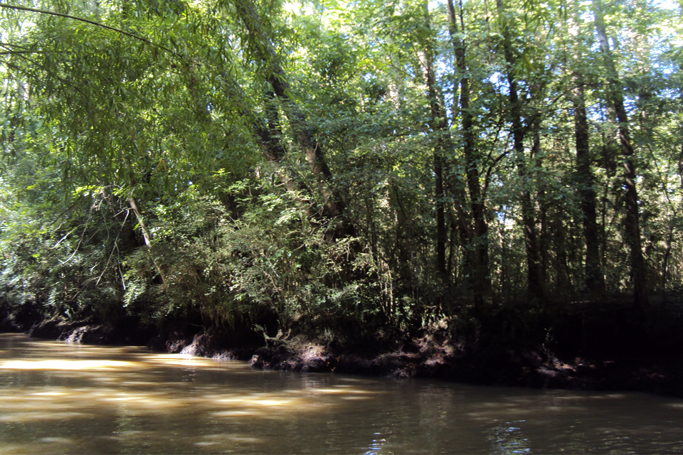 Un nuevo subsidio para la Conservación 