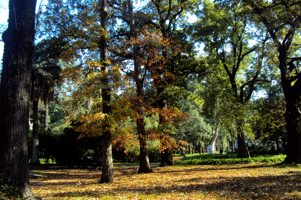 5 de junio: día mundial del medio ambiente