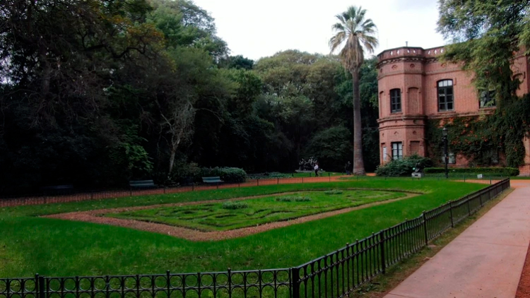 Mariposas a cielo abierto, árboles prehistóricos y un "castillo de chocolate": los secretos que alberga el Jardín Botánico