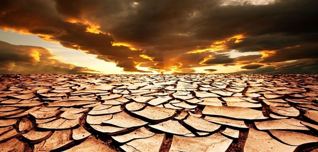 Día Mundial de Lucha contra la Desertificación y la Sequía. 