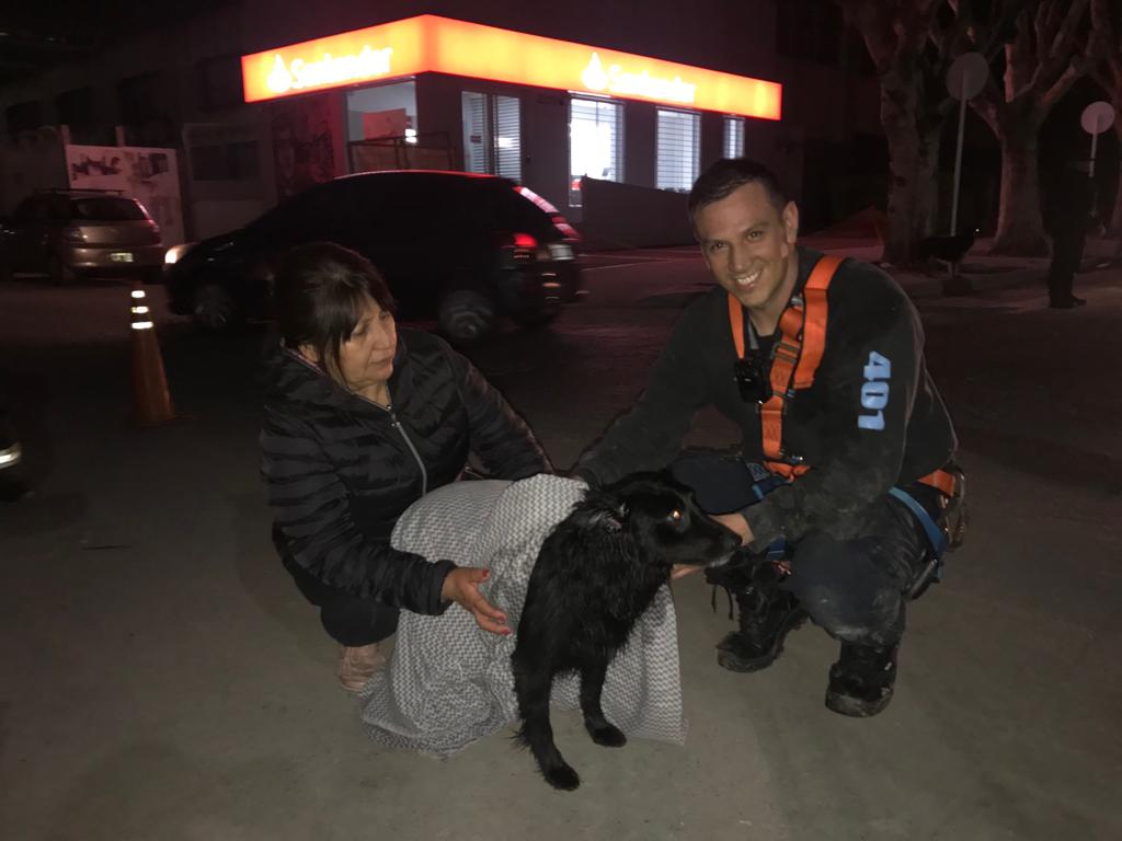 Bomberos de la Ciudad salvaron a un perro que cayó a un desagüe de 15 metros de profundidad