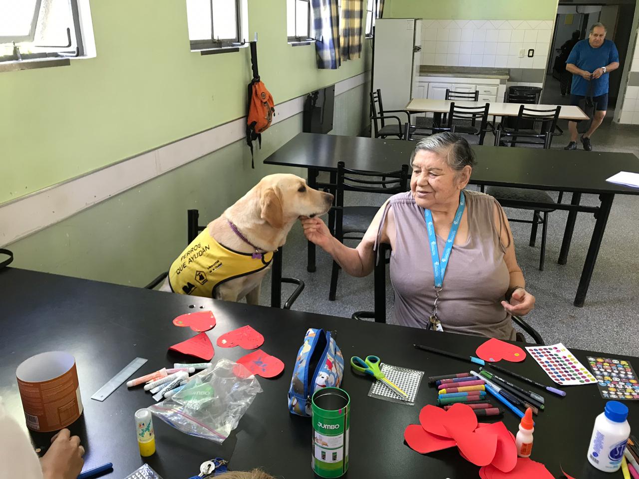 "Perros que ayudan", el programa que acompaña a personas mayores en hogares de la Ciudad