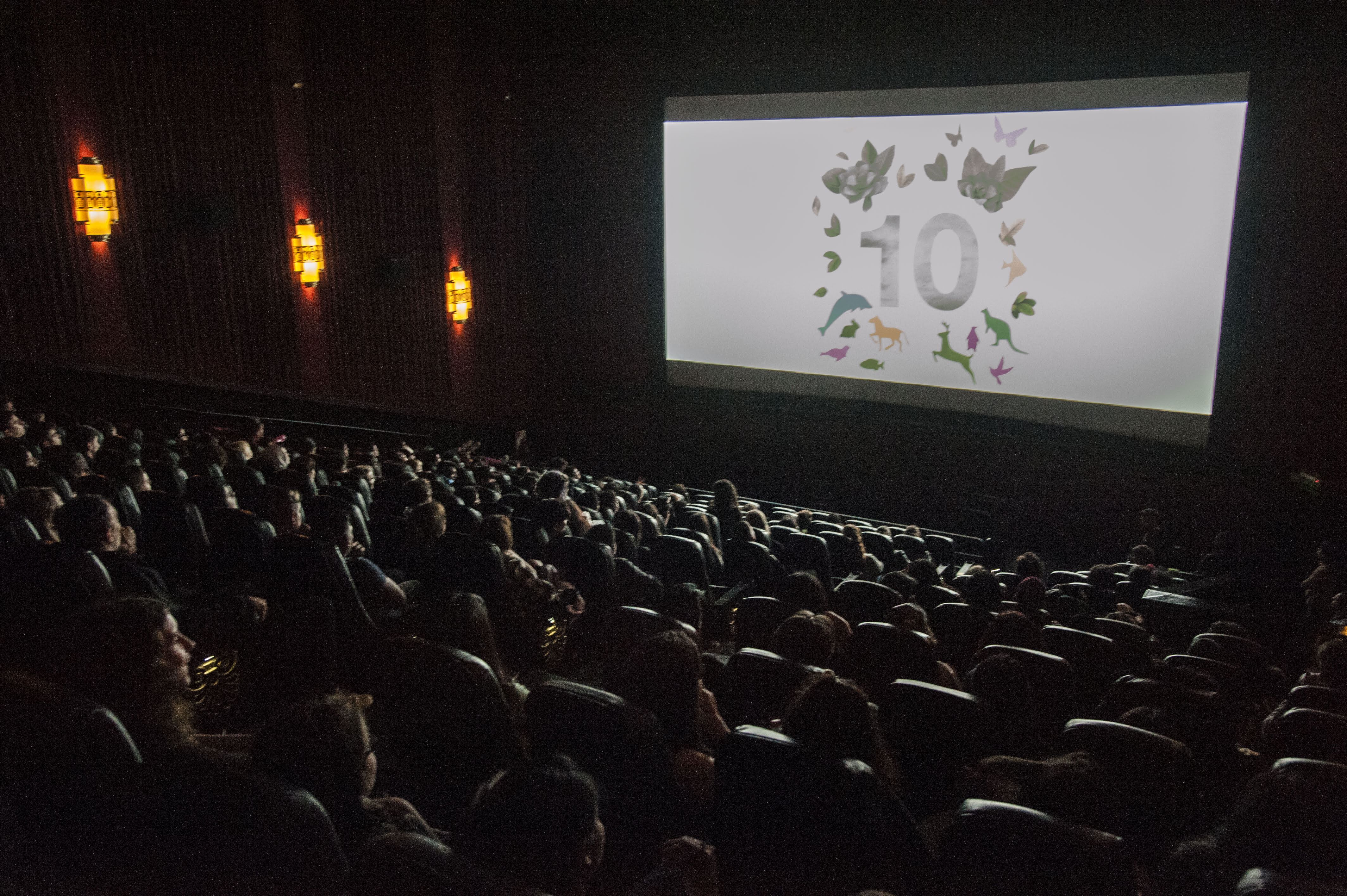 Cine ambiental: un espacio para reflexionar