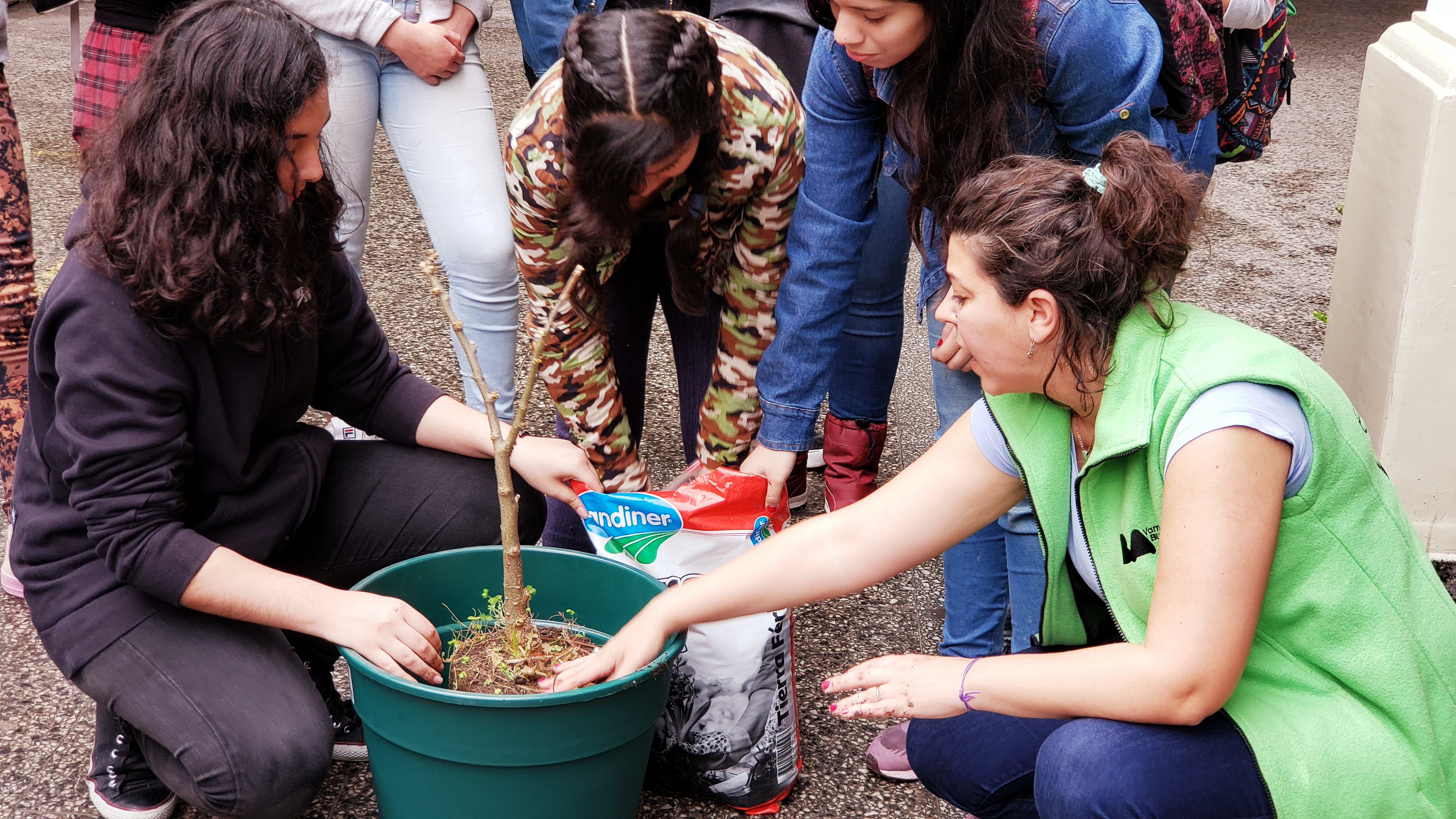 En el Día del árbol, estudiantes de la Ciudad plantaron un ceibo en su escuela