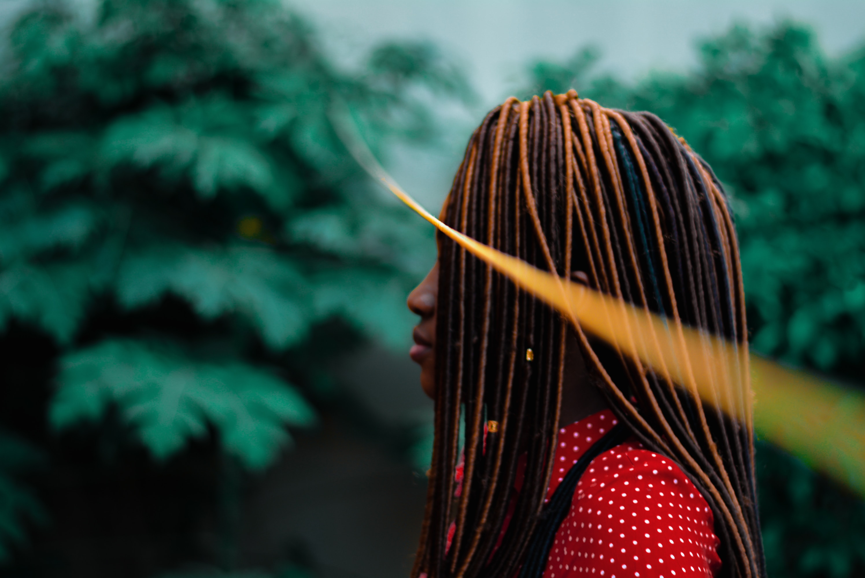 ¡Arrancan los talleres del Programa Afrocultural!