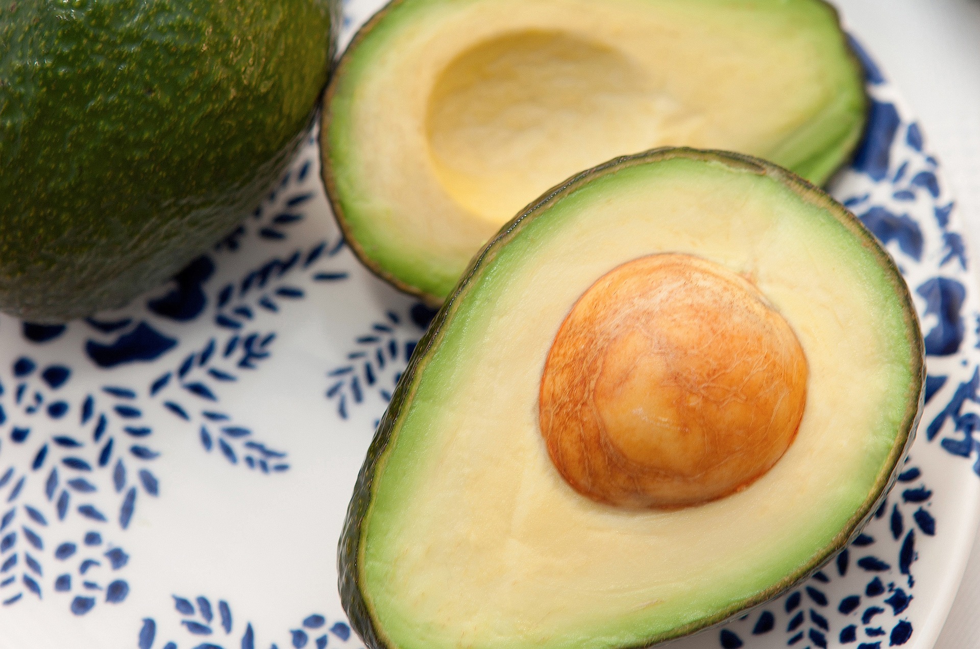 La palta es una fruta rica en fibras y grasas saludables ideal para incorporar a la alimentación 