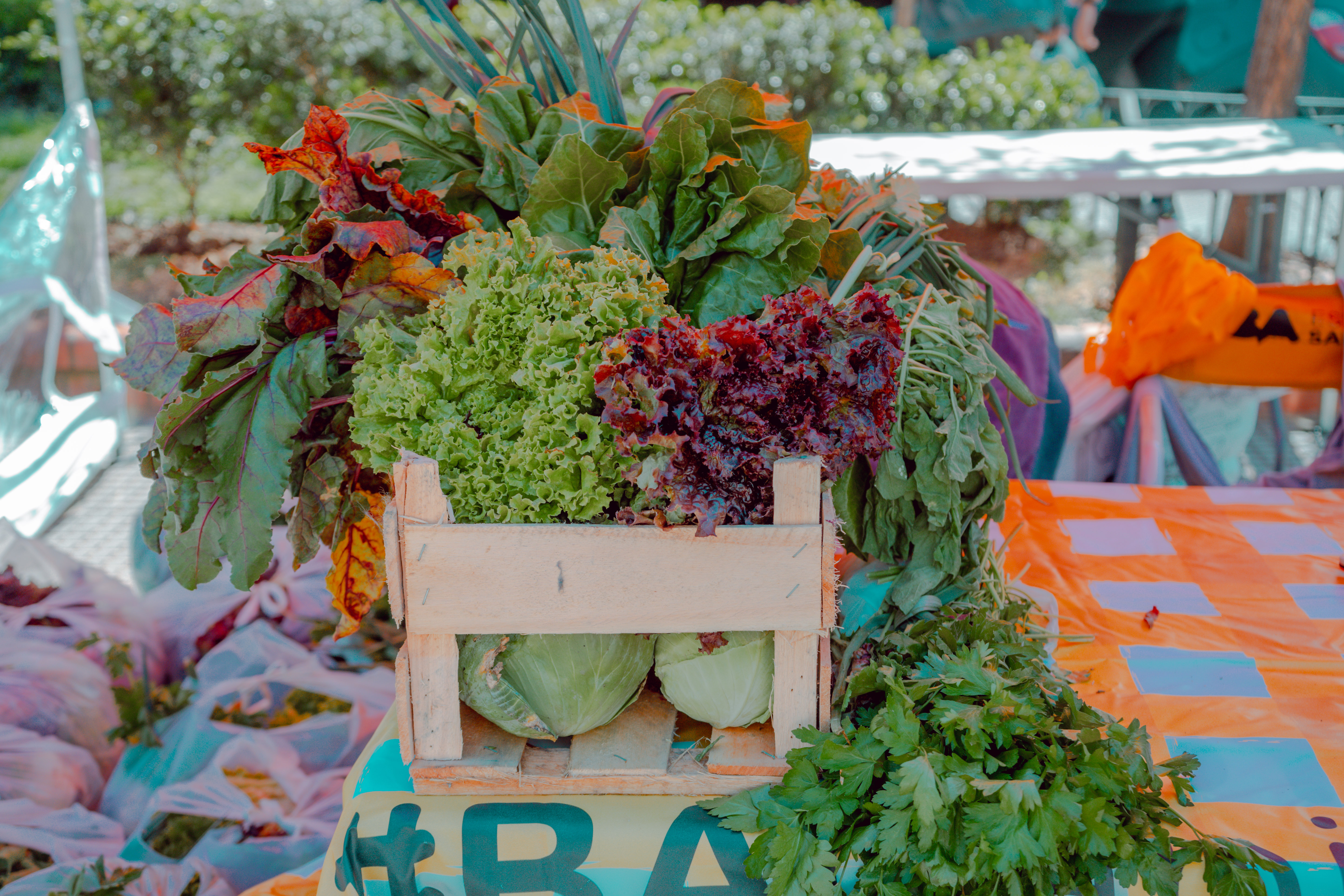 Verduras económicas en las Estaciones Saludables 