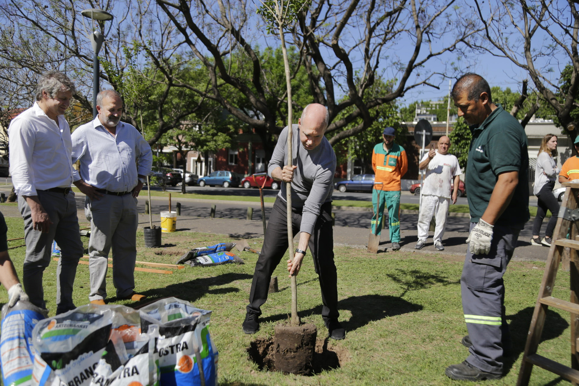 Horacio Rodríguez Larreta participó de la plantación de 842 árboles 