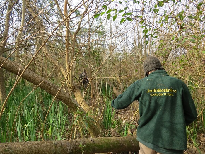 Restauración ecológica: un pequeño aporte para un gran objetivo