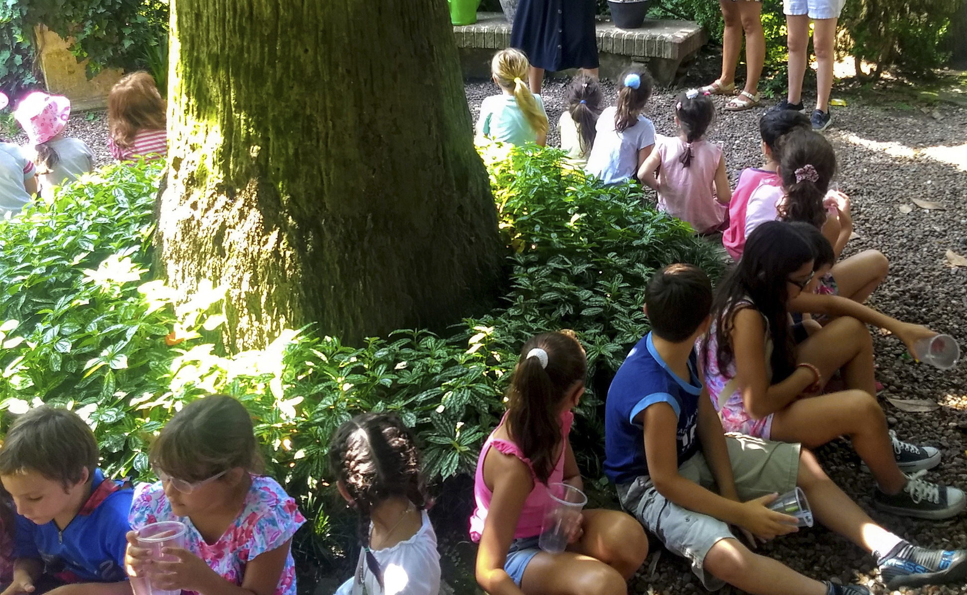 Desde el jardín, música y narraciones - miércoles 26 de febrero, 17h.