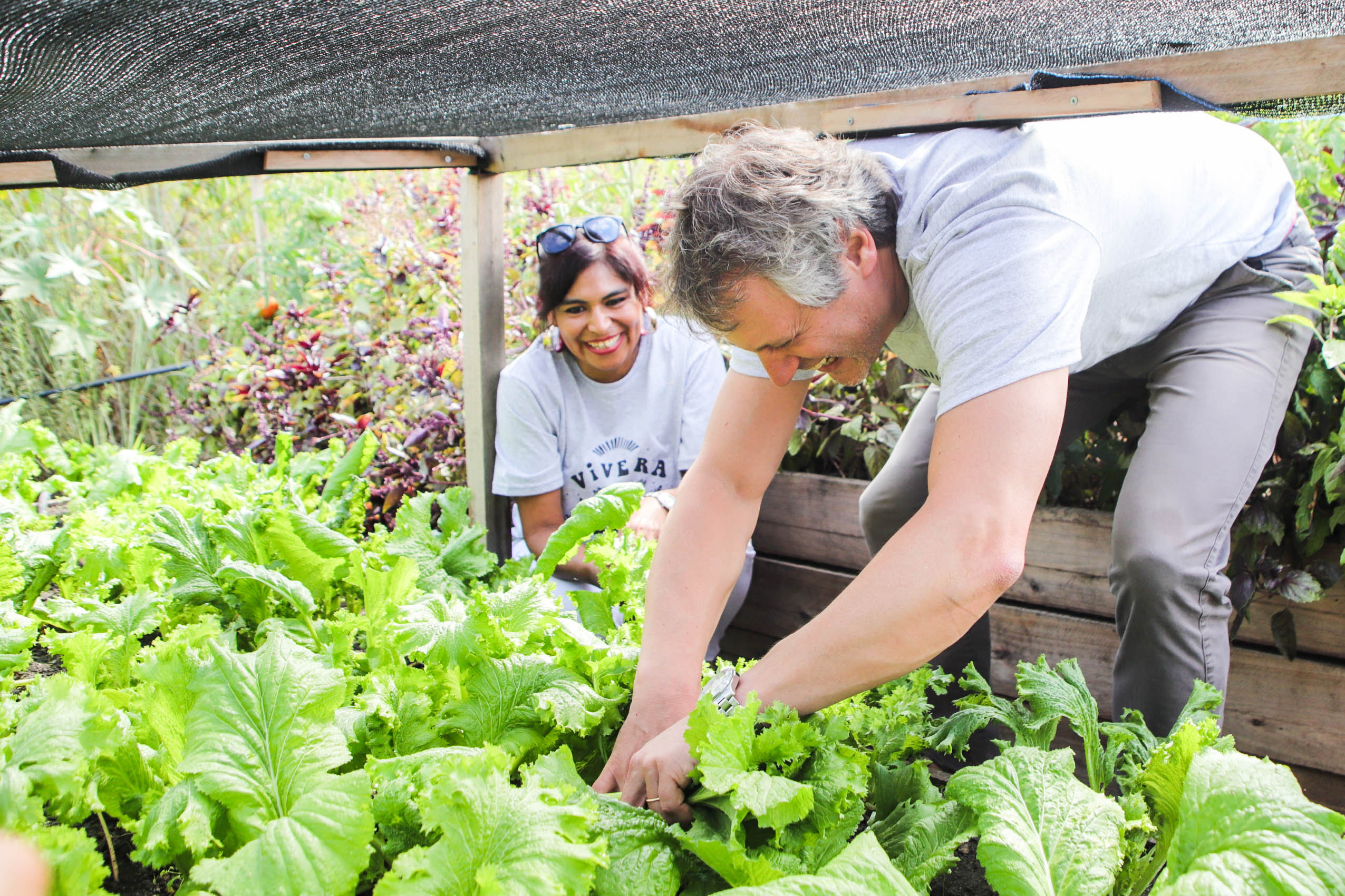Quedó inaugurada la Vivera Orgánica del Barrio Rodrigo Bueno