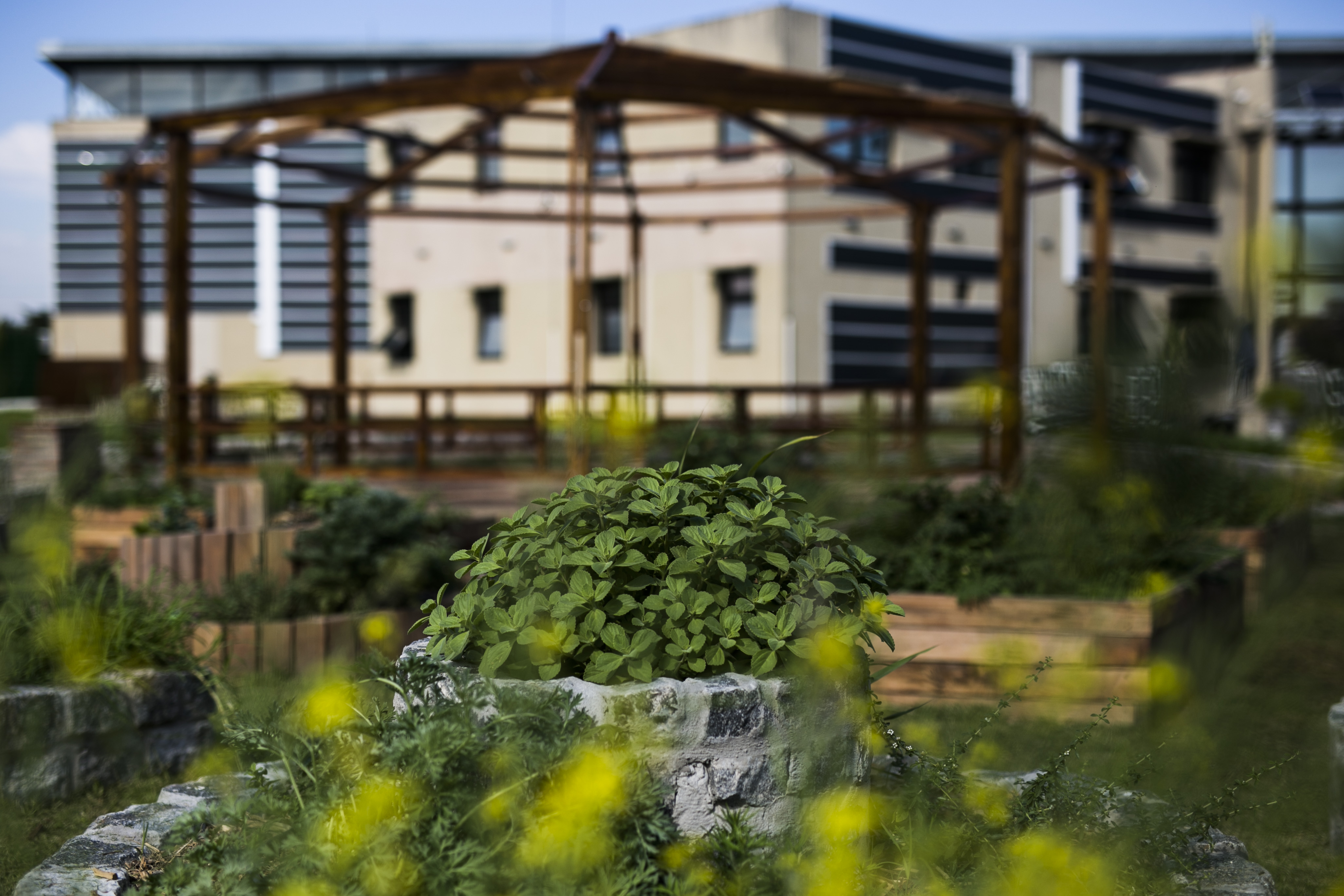 La Agencia de Protección Ambiental limita su atención al público de manera presencial