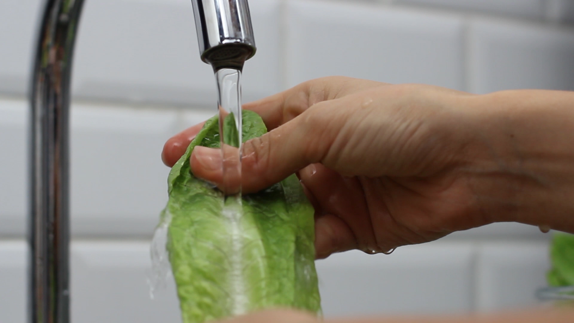 Cuidados a tener en cuenta para consumir alimentos seguros 