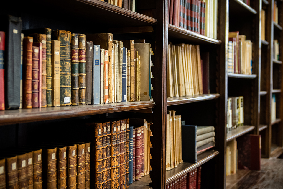 Trabajo en un Museo: ¿Sabés qué hace un bibliotecario?       