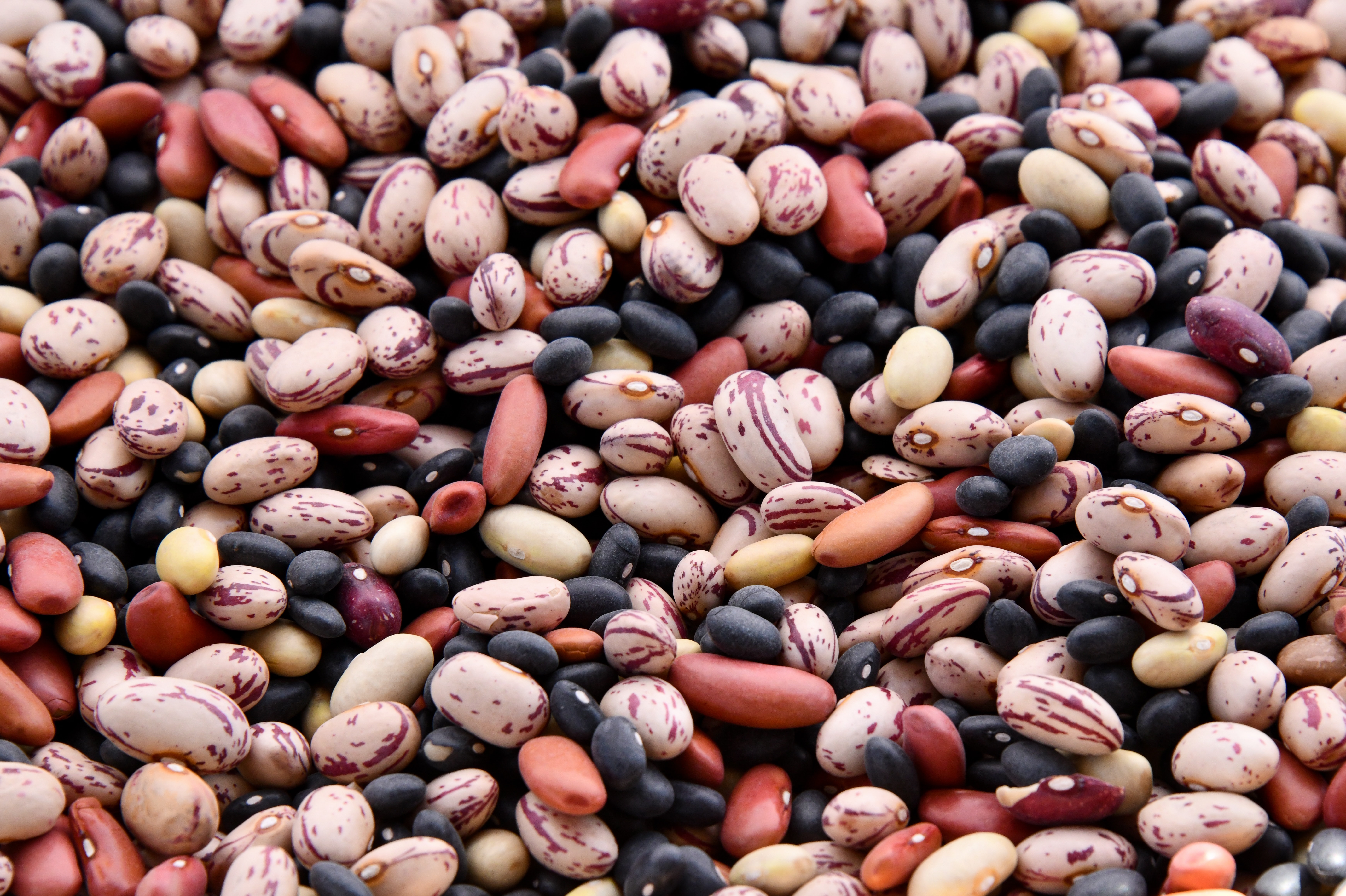 Legumbres, aliadas de una alimentación saludable