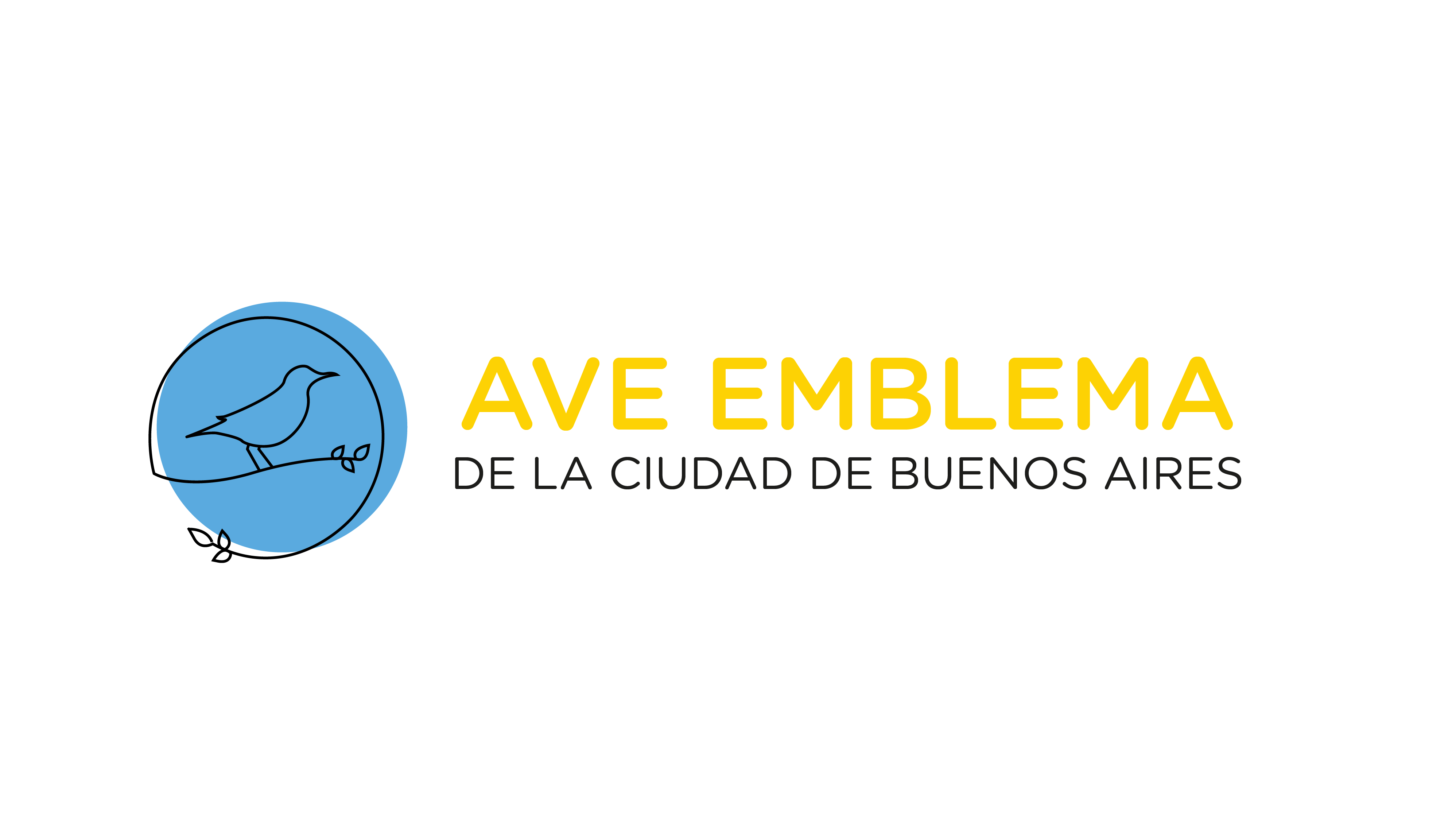 ¡Participá de la elección del Ave Emblema de la Ciudad!
