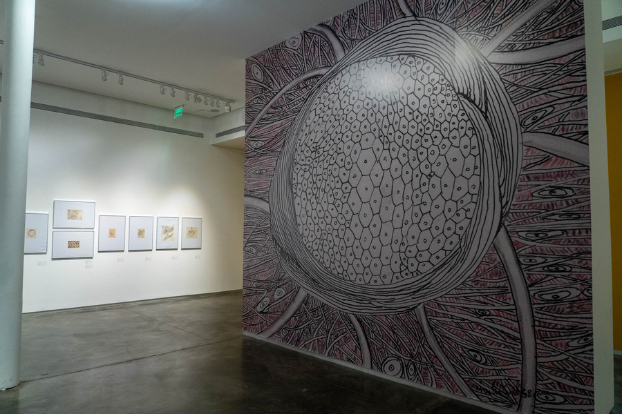 Recorré el Museo Sívori desde tu casa 