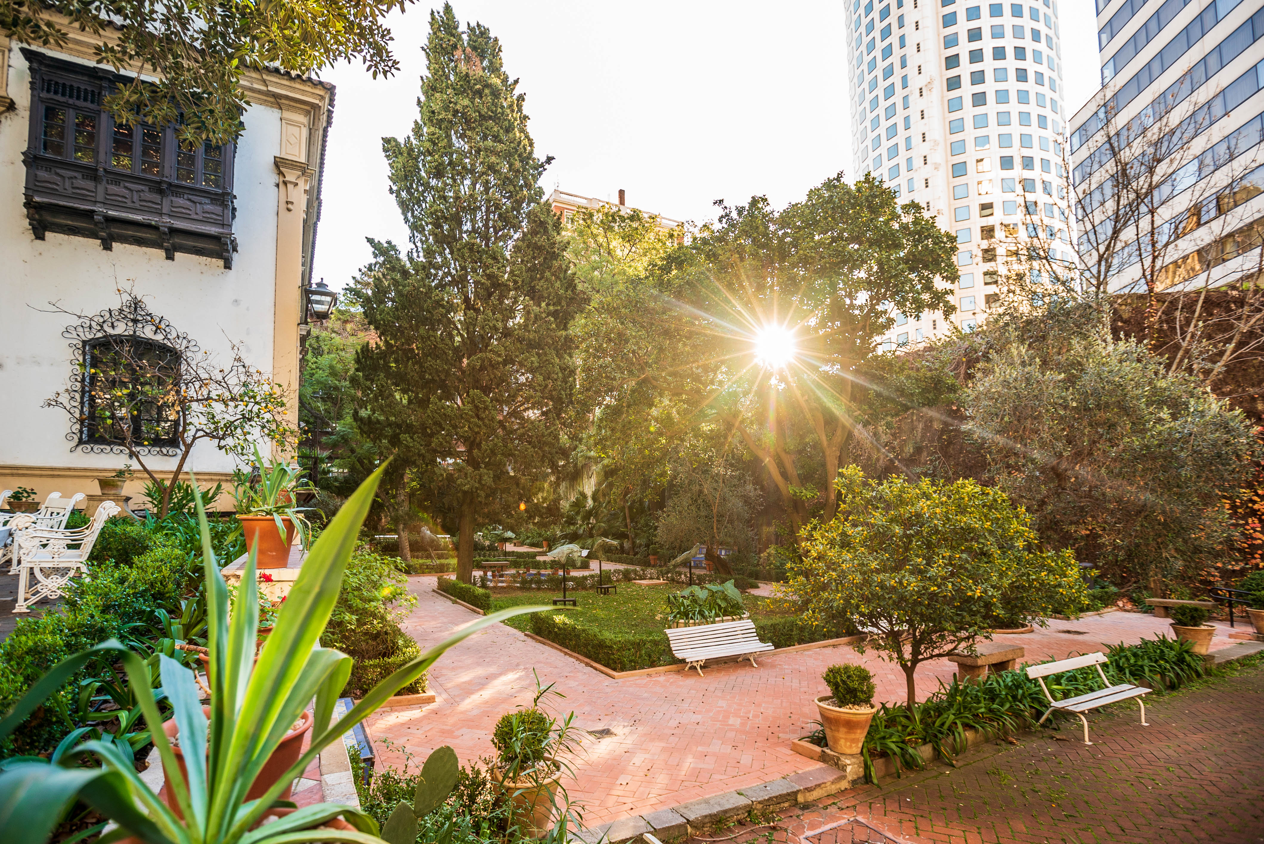 Convocatoria para entrenamientos culturales en los jardines de los Museos BA