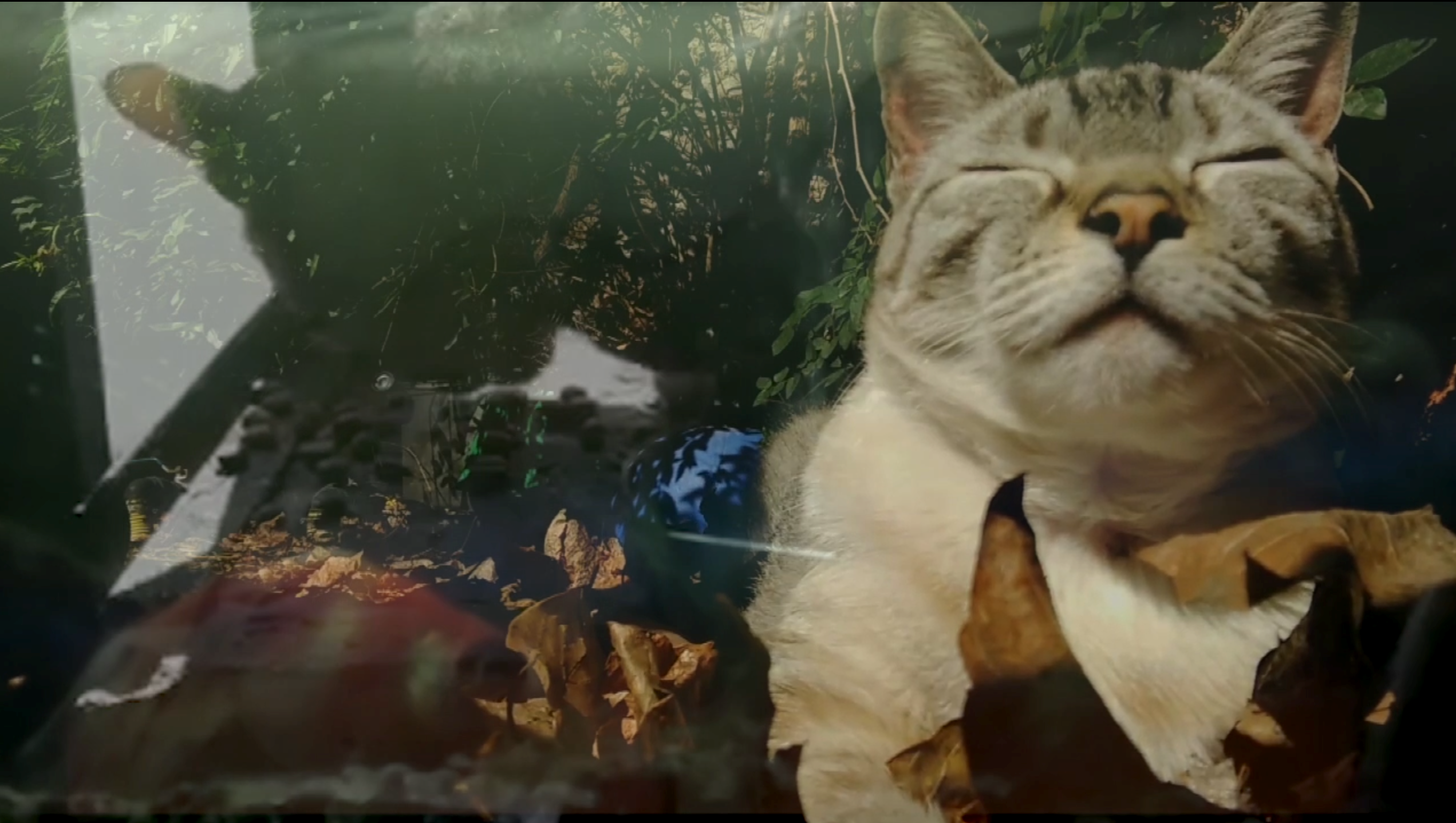 Estreno de Minuto a minuto: una película colectiva