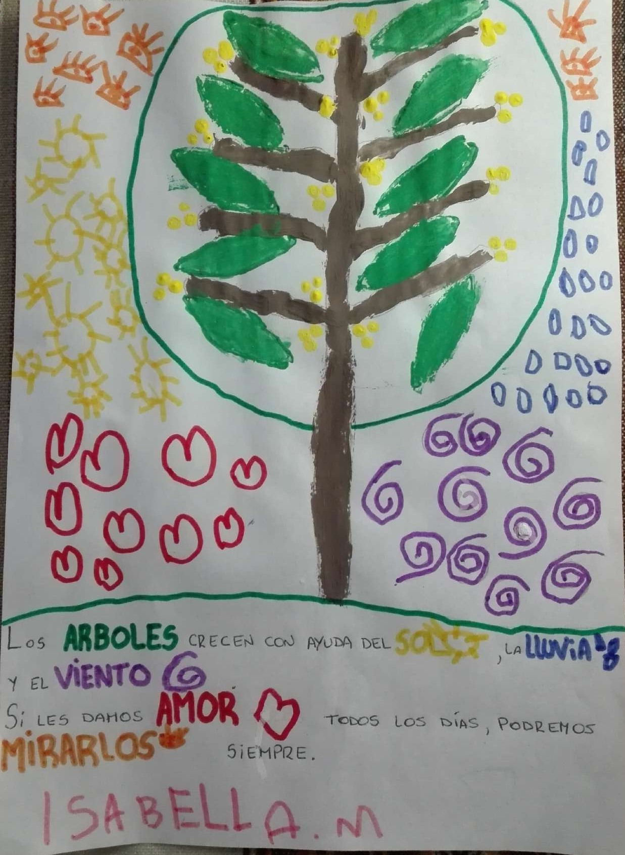 Participá con tu voto de «Mi árbol, un mural»