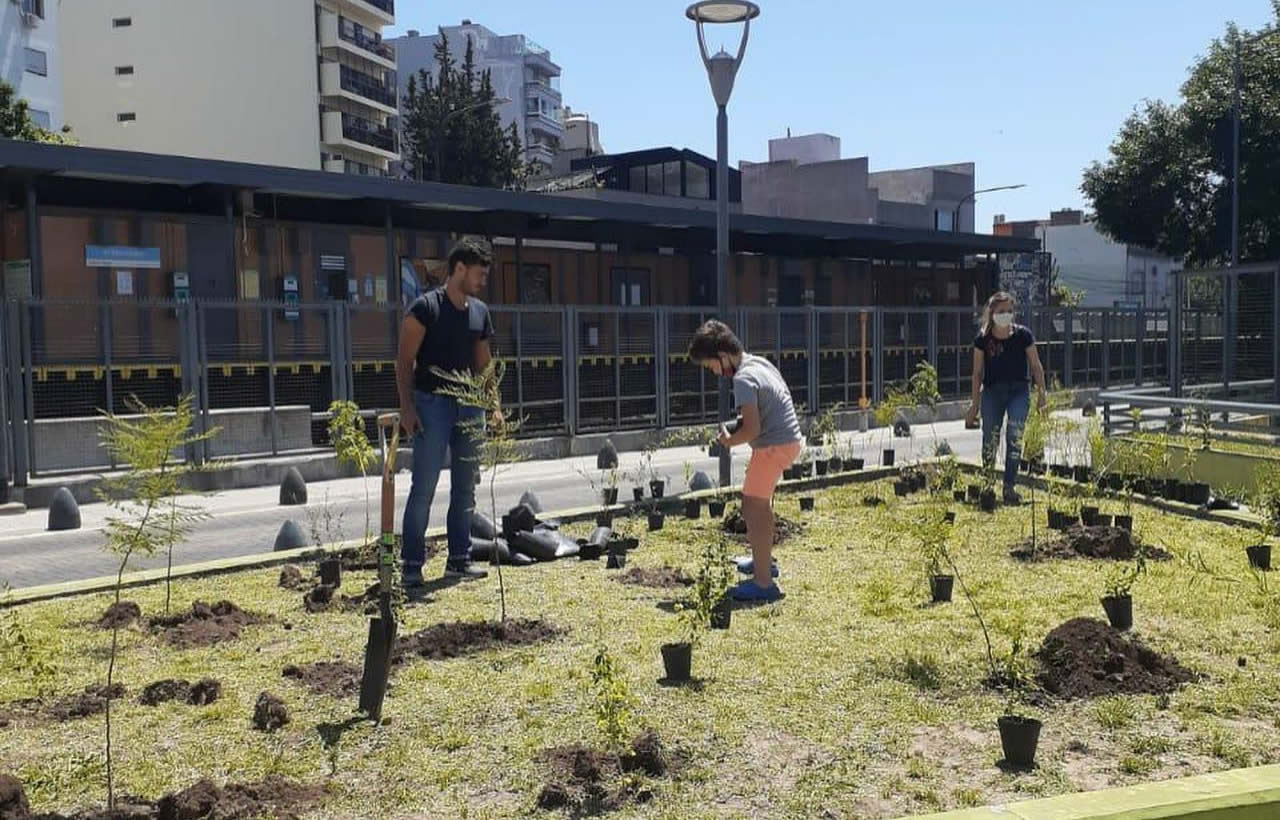 Nuevas plantaciones en la Comuna