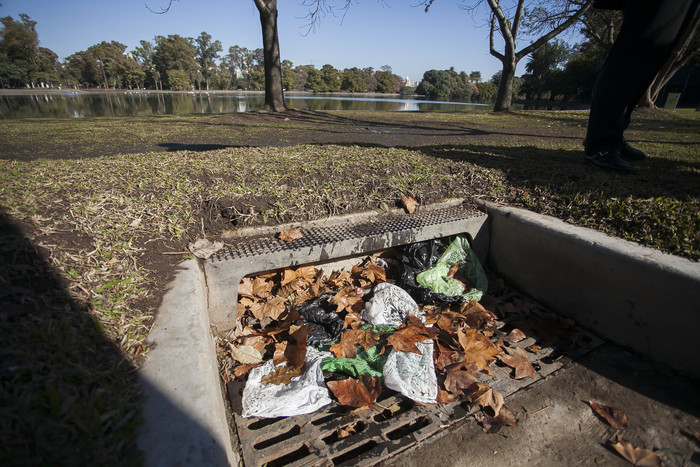 Consejos para la recolección de hojas en época otoñal