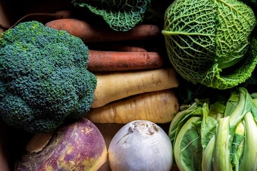 Frutas y verduras de Invierno