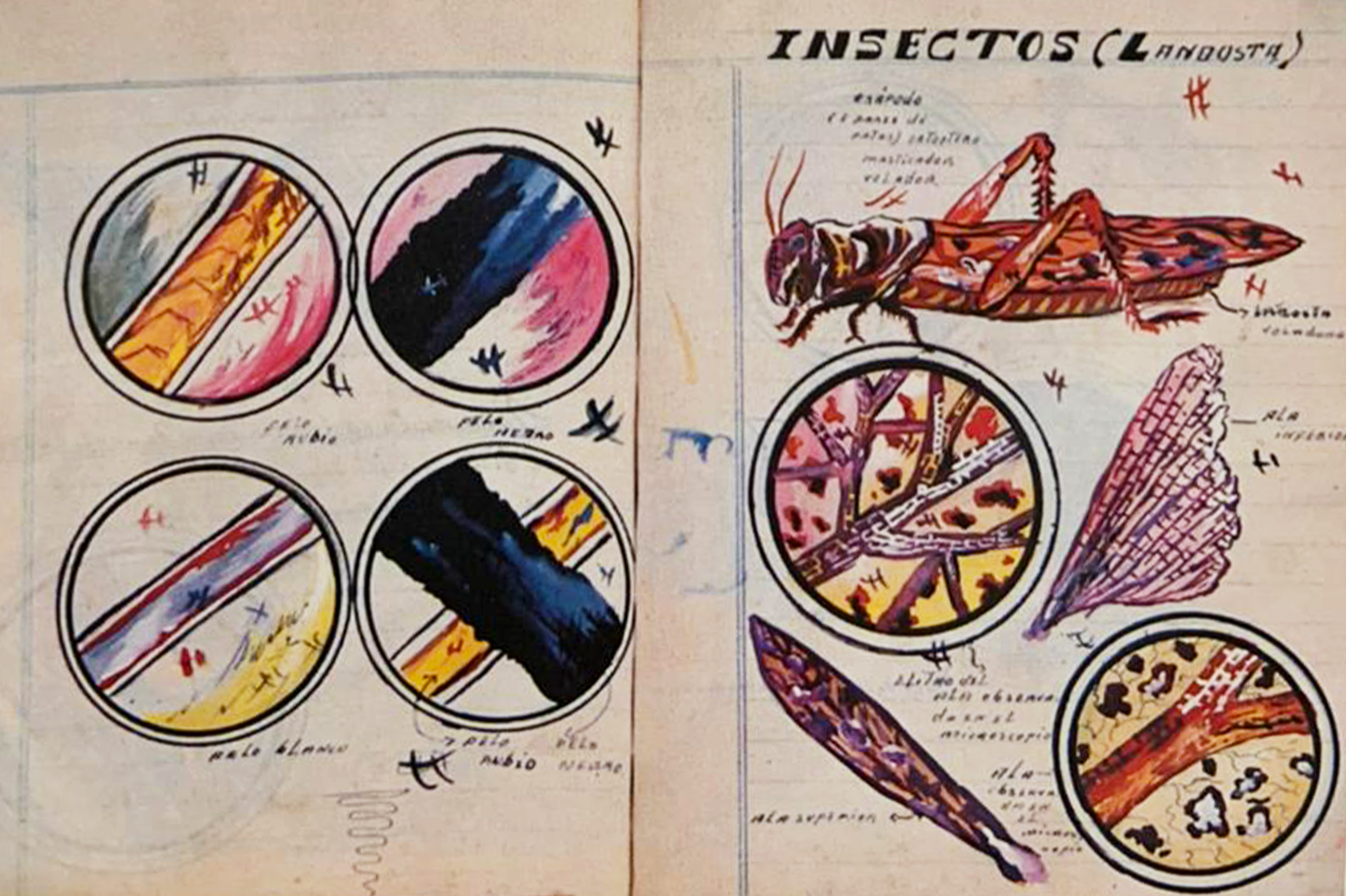El cuaderno de clase en los archivos escolares