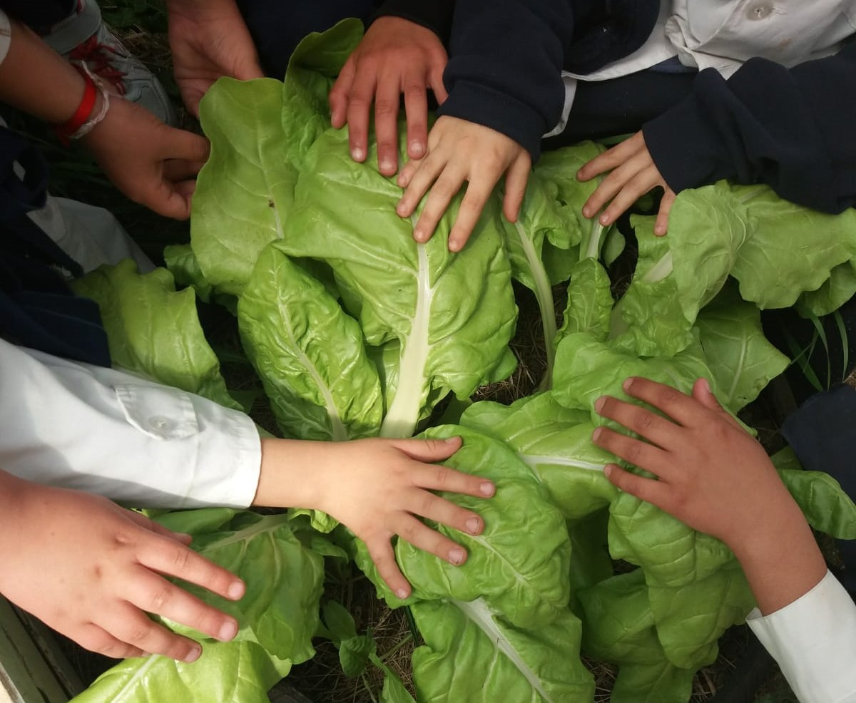 Una nutrida agenda ambiental