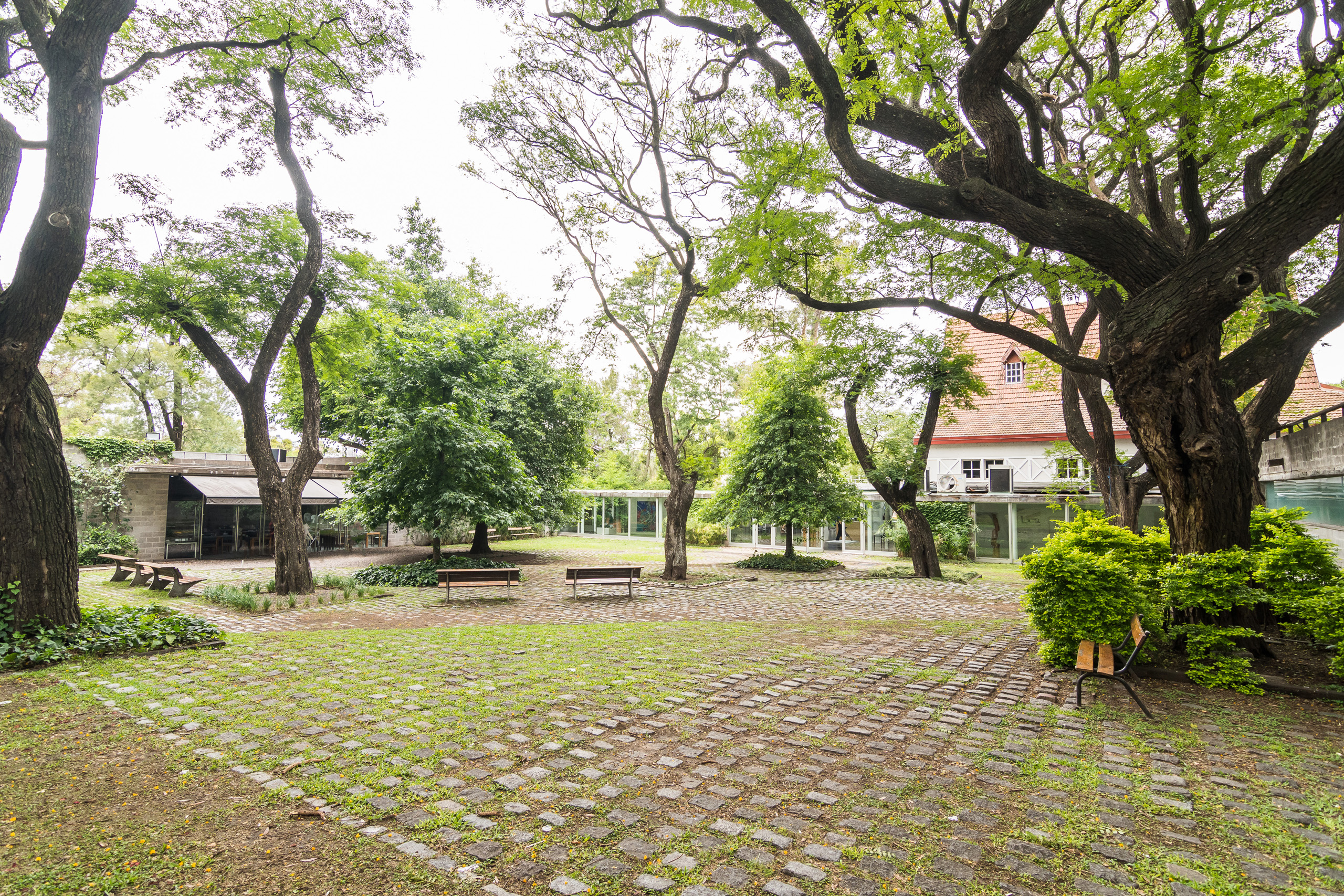 Entrenamientos culturales en los jardines de los MuseosBA   