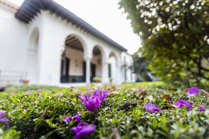 Entrenamientos culturales en los jardines del Larreta