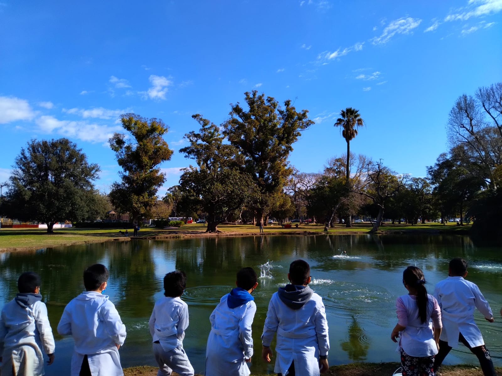 Esferas al agua: un proyecto contra la contaminación