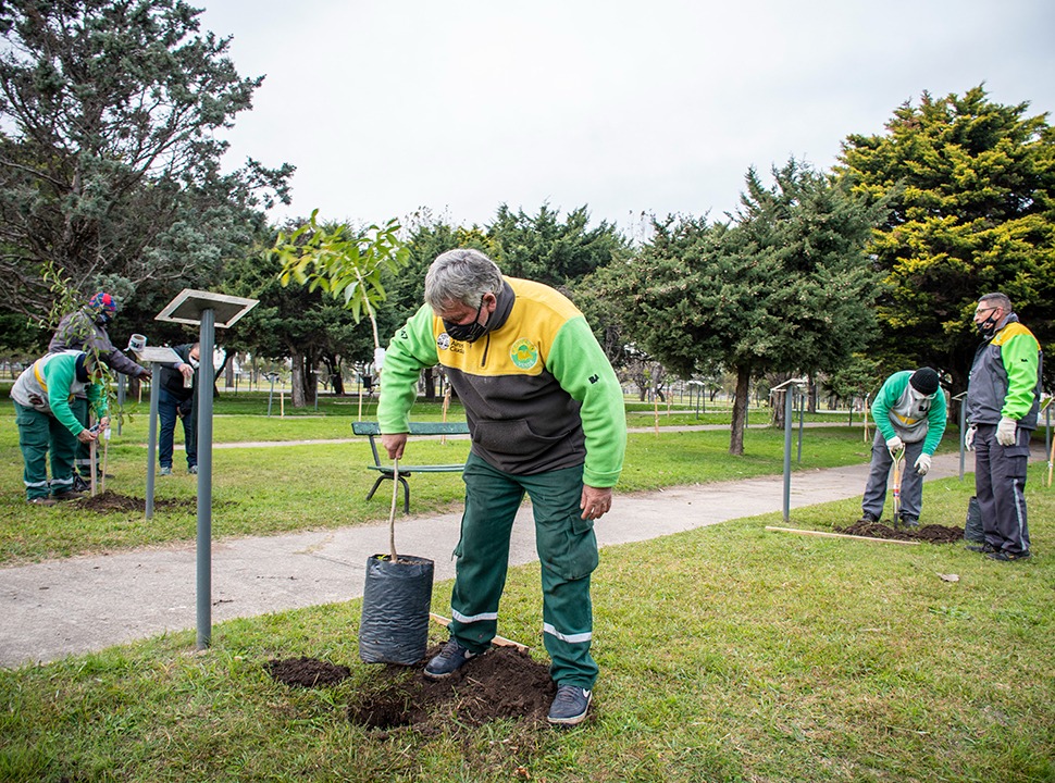 Se plantarán más de 16 mil árboles durante 2021