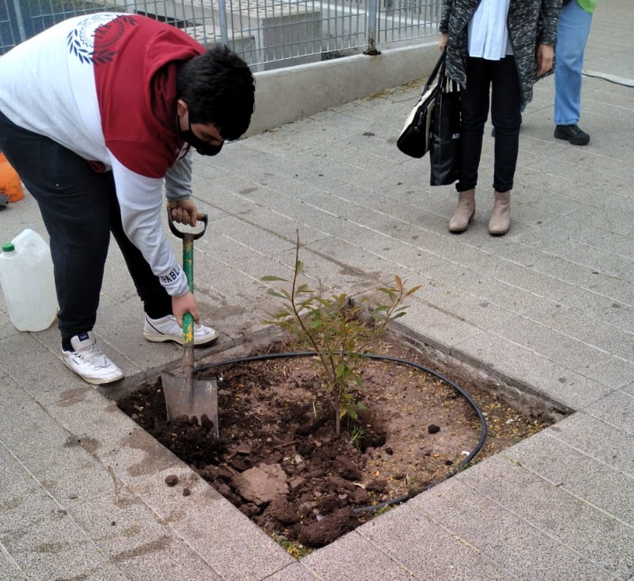 Las escuelas plantan futuro