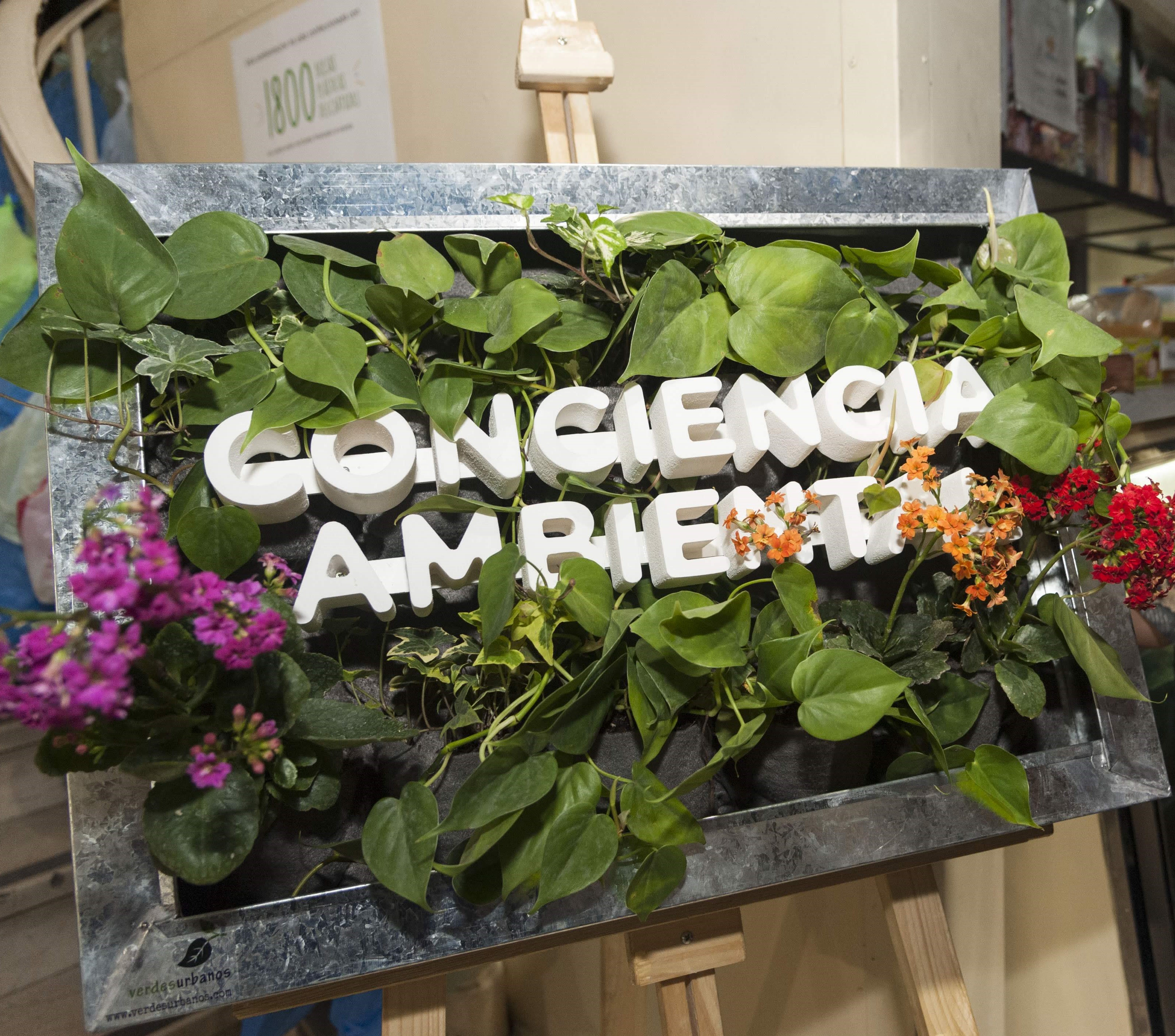 Construir conciencia ambiental para un presente y futuro sustentable