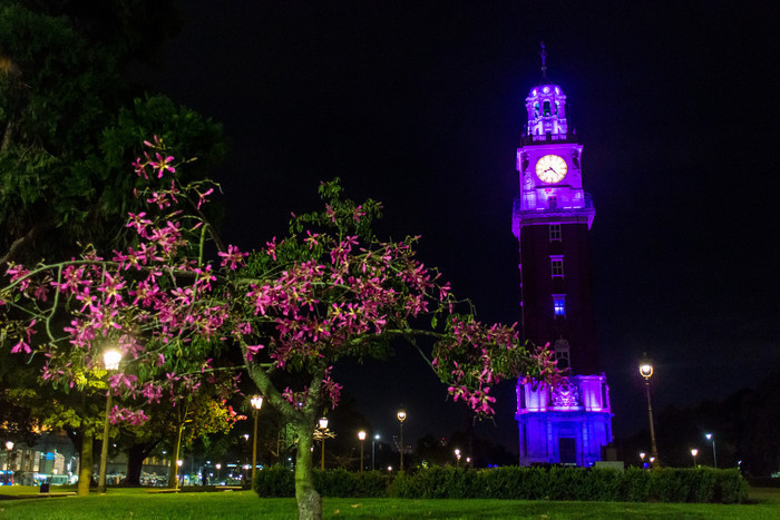 Monumentos porteños teñidos de violeta por el Mes Mundial del Alzheimer