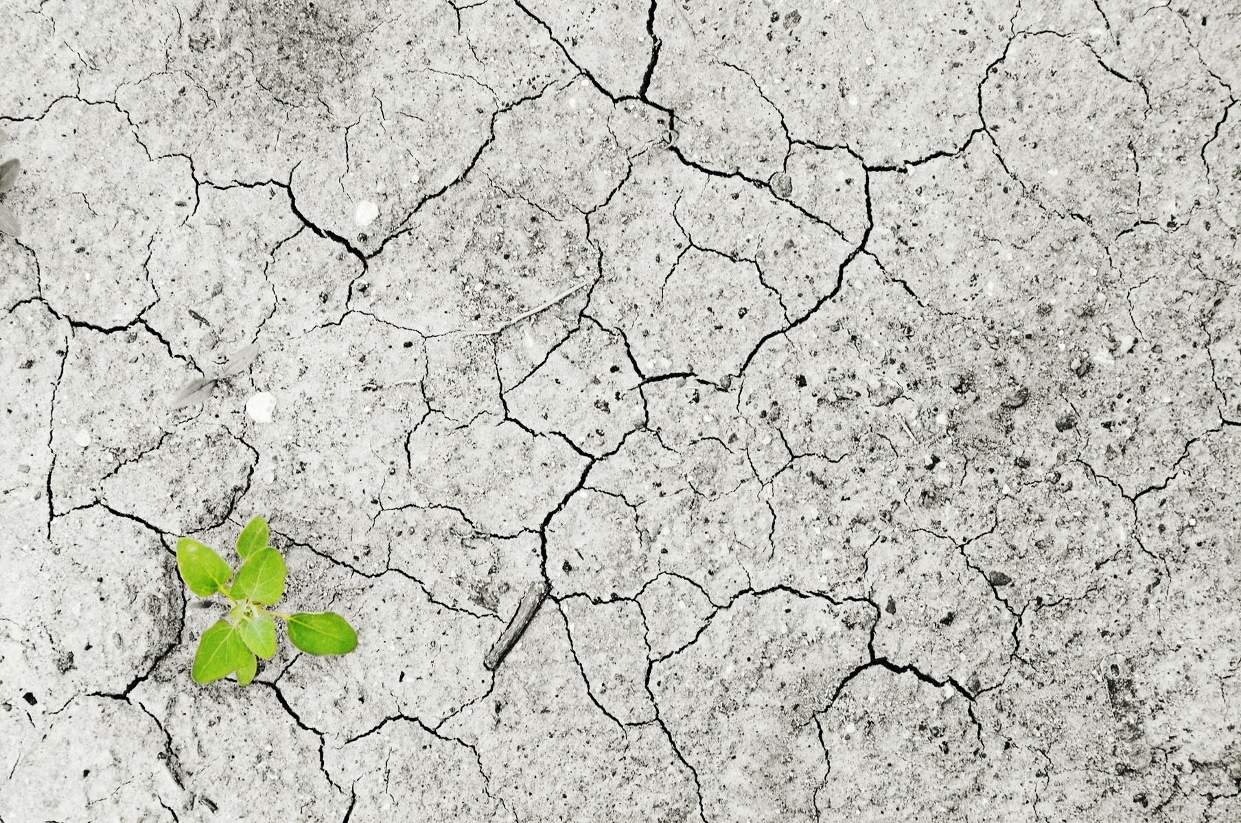VII Seminario de Problemáticas Ambientales: Suelo y Cambio Climático