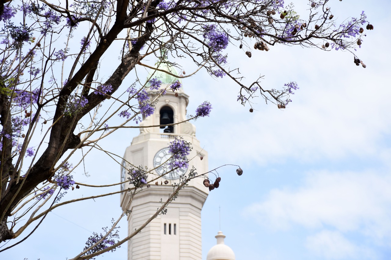 La ciudad se tiñe de lila