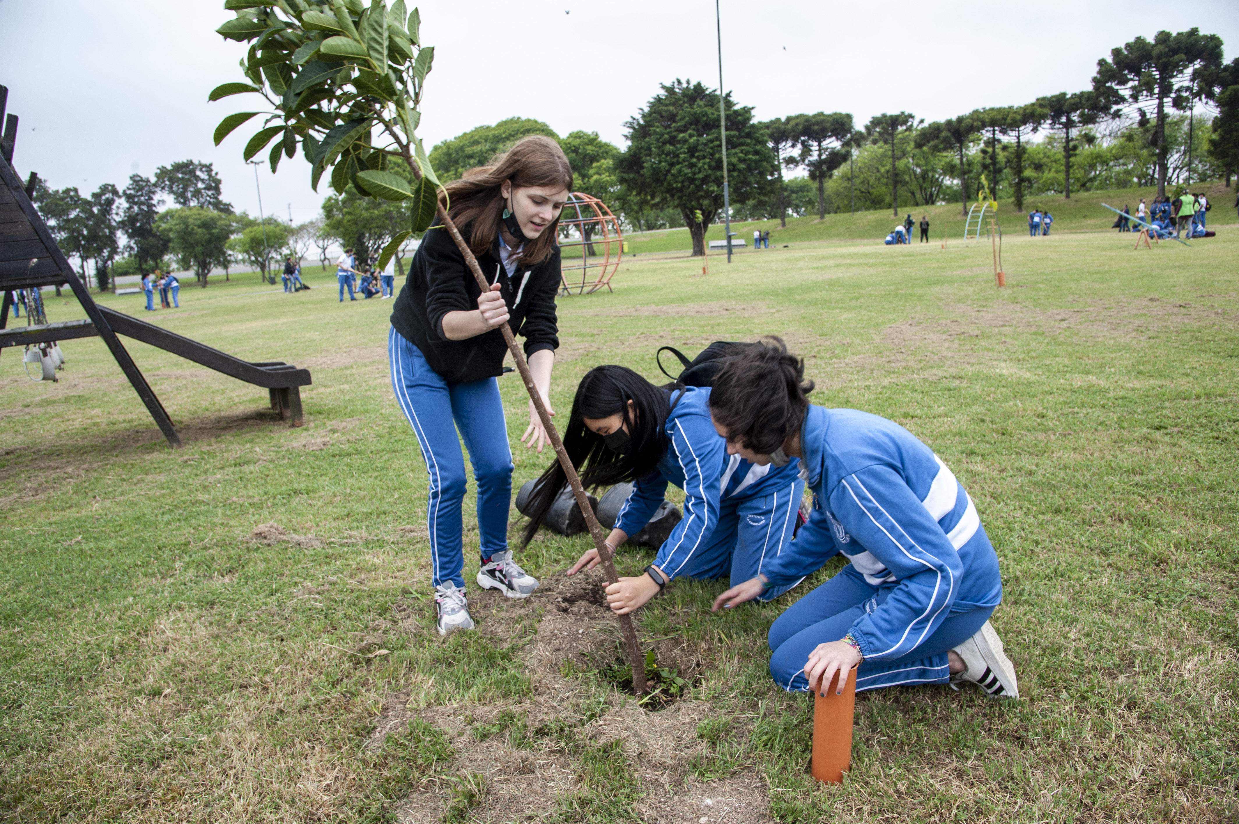 Manos a la tierra: plantar para reconectar con la naturaleza